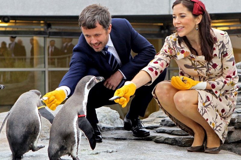 Danijos princas Frederikas su žmona princese Mary