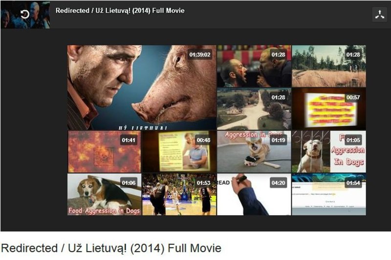 Internete nemokamai galima parsisiųsti filmą „Redirected / Už Lietuvą!“.