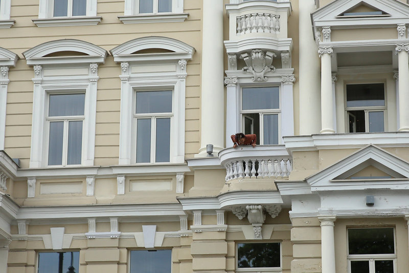 „Aerosmith“ grupės lyderis Stevenas Tyleris Vilniaus Senamiestyje