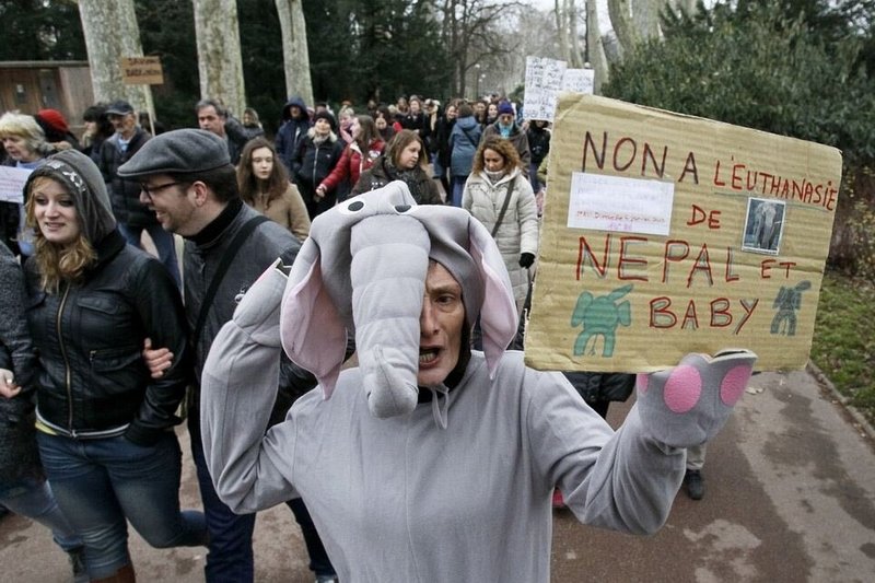 Protestuotojai Liono zoologijos sode