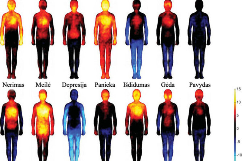 Emocijų žemėlapis: kaip jos atsispindi mūsų kūne?