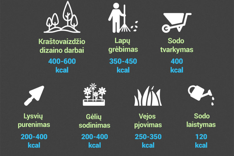 Kiek kcal sudeginama dirbant sodo darbus?