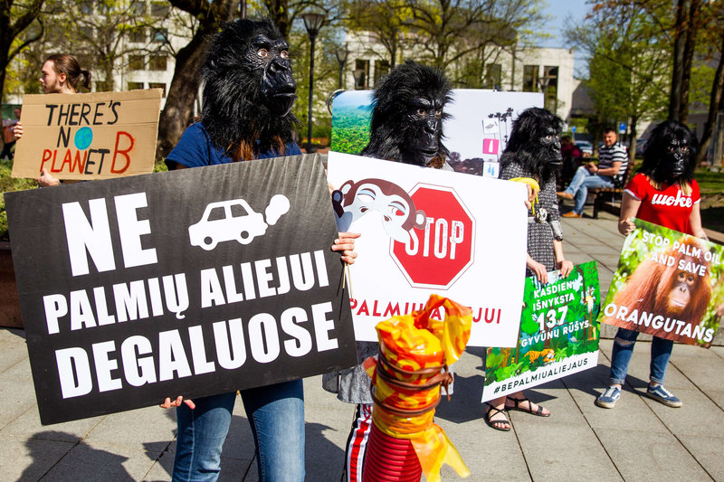 Protesto akcija „Prieš palmių aliejaus vartojimą“ / Organizatorių nuotr.