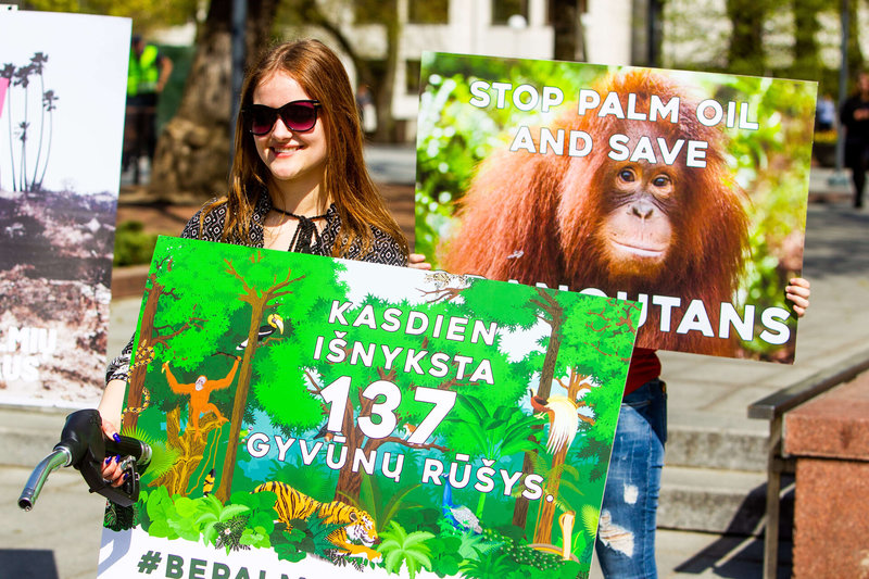 Protesto akcija „Prieš palmių aliejaus vartojimą“ / Organizatorių nuotr.