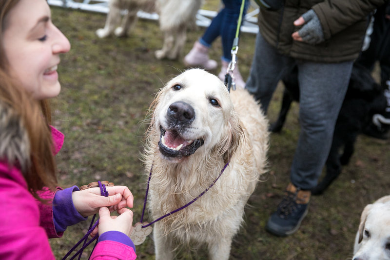 Žygis su šimtais labradorų Labanoro girioje/Organizatorių nuotr.