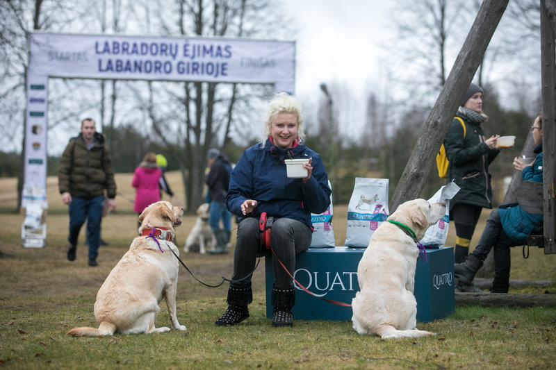 Žygis su šimtais labradorų Labanoro girioje/Organizatorių nuotr.