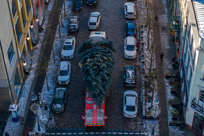 Klaipėda ruošiasi kalėdų eglutės įžiebimui