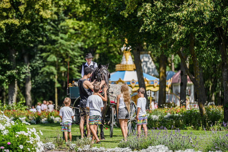 10 patarimų, prieš vykstant į gražiausias Žolines Lietuvoje?