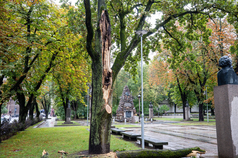 Audros padariniai Kaune