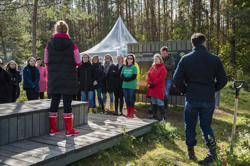 Pekla ar gyvybės pradžia? Atskleidė, kaip kiekvienas grožio entuziastas gali prisidėti prie pelkių išsaugojimo