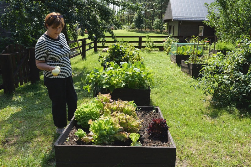 Laisvė Radzevičienė