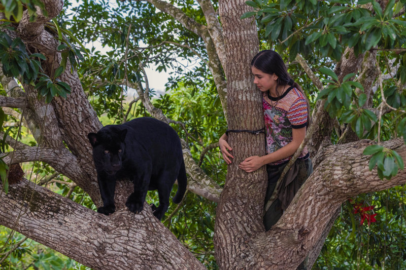 „Ema ir juodasis jaguaras“ („Autumn and Black Jaguar”, 2024) 