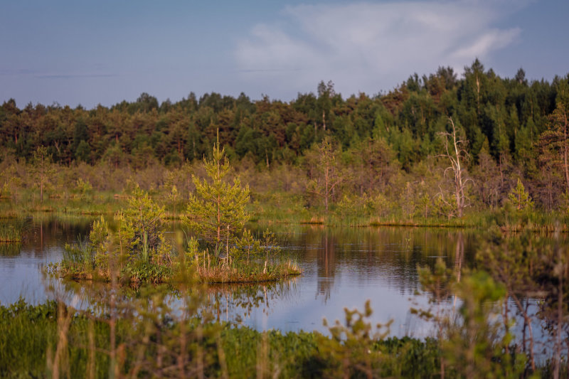 Varnikų pažintinis takas