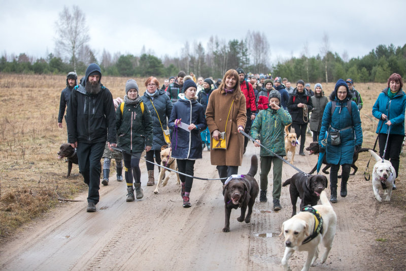 Labanore žygiavo šimtai labradorų: siekiama atkreipti dėmesį į miškų saugojimą