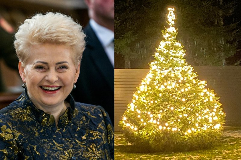 Dalią Grybauskaitę jau aplankė švenčių dvasia: pasidalijo savo Kalėdų eglutės nuotrauka