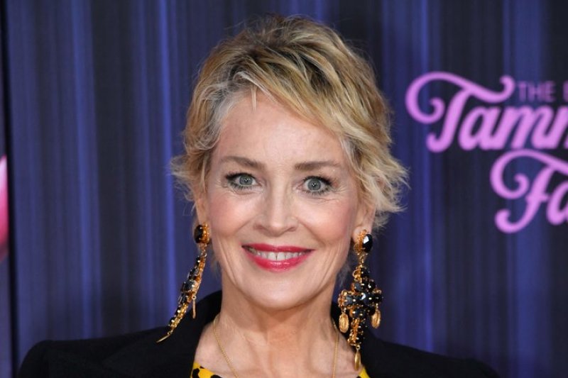 Aktorės Sharon Stone nemalonumai kelyje: net trys grubūs pažeidimai, gresia milžiniška bauda