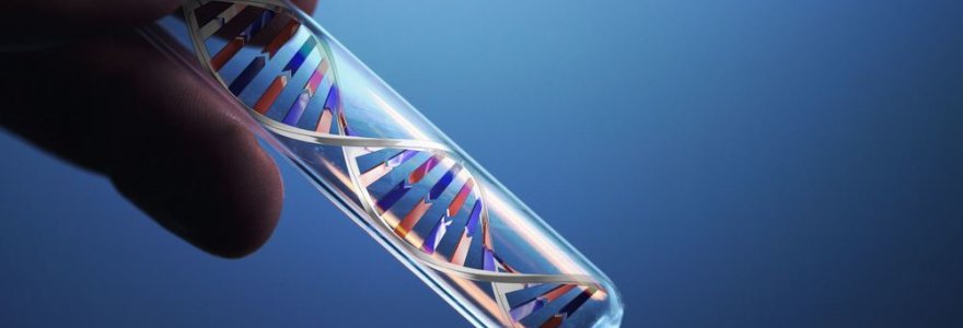 DNR grandinė mėgintyvėlyje