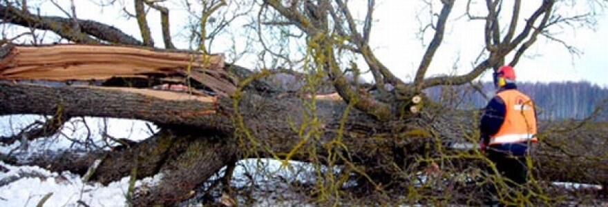 Rajono gyventojai aimanuoja dėl nenuvalytų kelių, tuo tarpu kelininkai užsiima visai kuo kitu &ndash; medžių pjovimu.