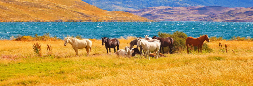 Torres del Paine