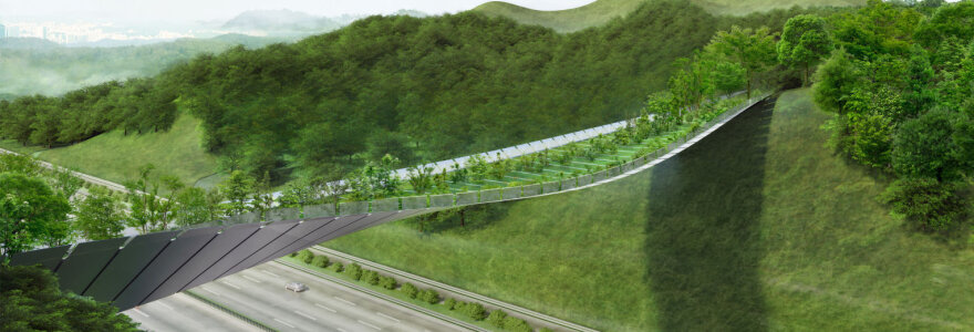 Lietuvos architektų ekologi&scaron;ko pėsčiųjų tilto projektas