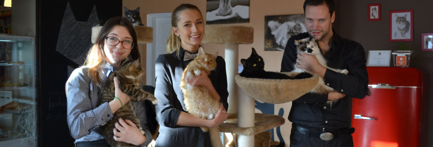 Vienas „Cat cafe“ kavinės įkūrėjų Tautvydas Bitinas (dešinėje)