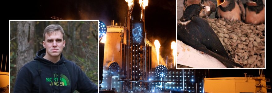 Marius Karlonas komentuoja paukščiams padarytą žalą per „Rammstein“ koncertą