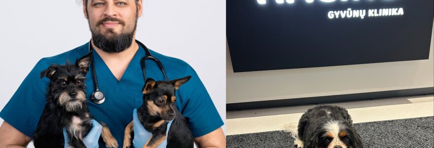 Veterinarijos gydytojas Vilius Urbonas / &bdquo;Hačiko&ldquo; klinika