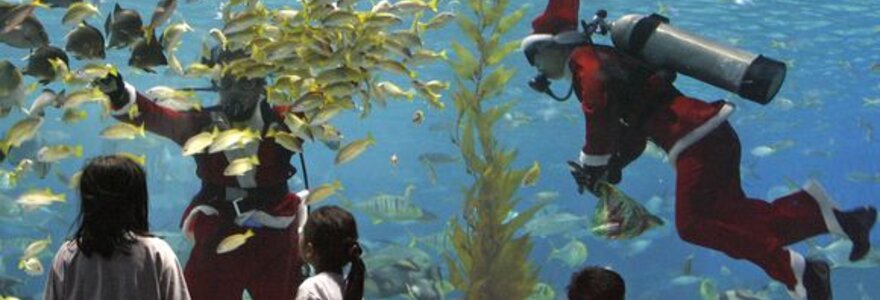 Nardytojai persirengę Kalėdų Seneliais maitina žuvis Manila Ocean Park akvariume