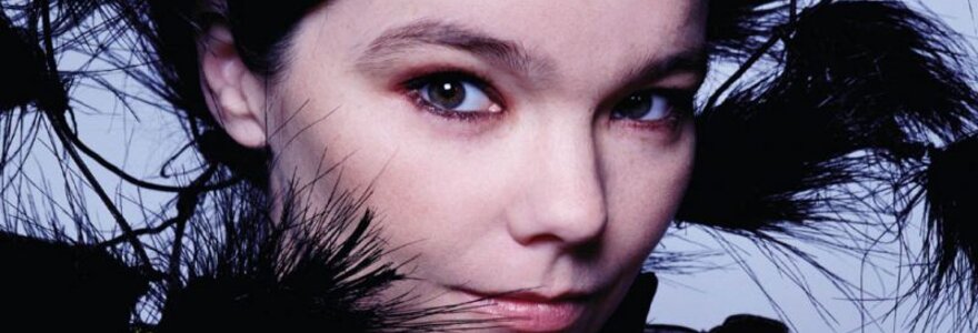 Bj&ouml;rk