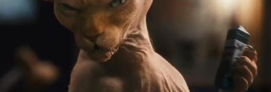 Filmas „Katės ir šunys 2: kačių kerštas“