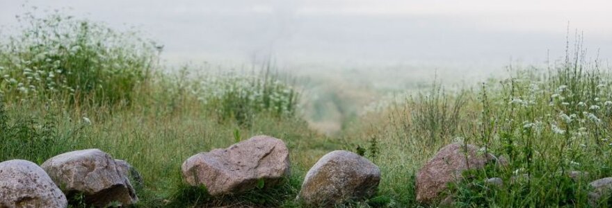 Ar akmuo &ndash; maistas? 