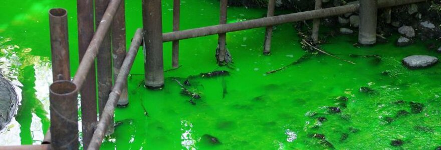 Ry&scaron;kiai žalia spalva vandenį nudažė i&scaron; &scaron;iluminės trasos i&scaron;tekėjęs vanduo su fluorescensiniais dažais
