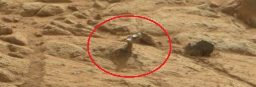 „Curiosity“ Marse nufotografavo koralą primenantį objektą