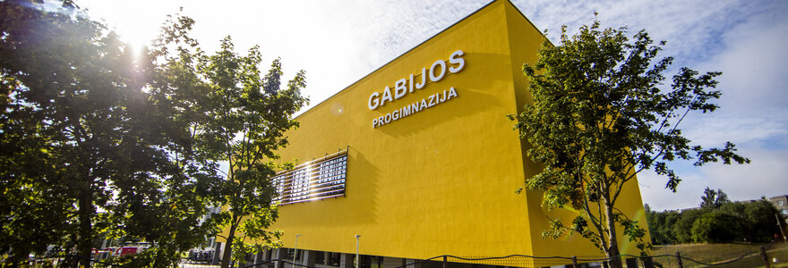 Vilniaus Gabijos progimnazija