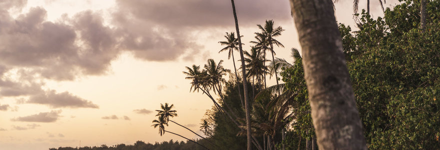 Rarotonga