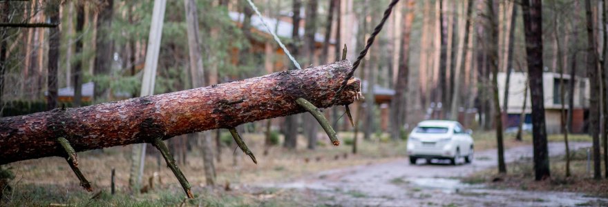 Stipraus vėjo padariniai Vilniaus mieste ir apylinkėse