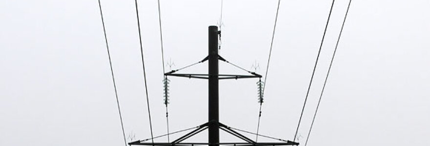 Elektros laidai