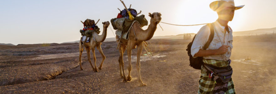 Vesdamas kupranugarius per Afarų dykumą Etiopijoje P. Salopekas žengia ankstyvųjų keliautojų pėdomis.