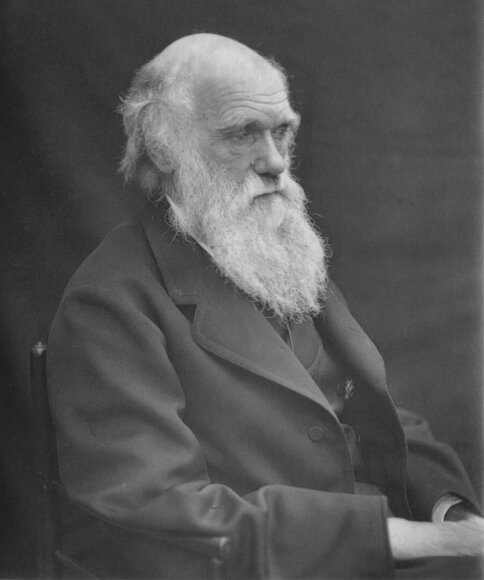 Prieš 205-erius metus gimė Charlesas Darwinas