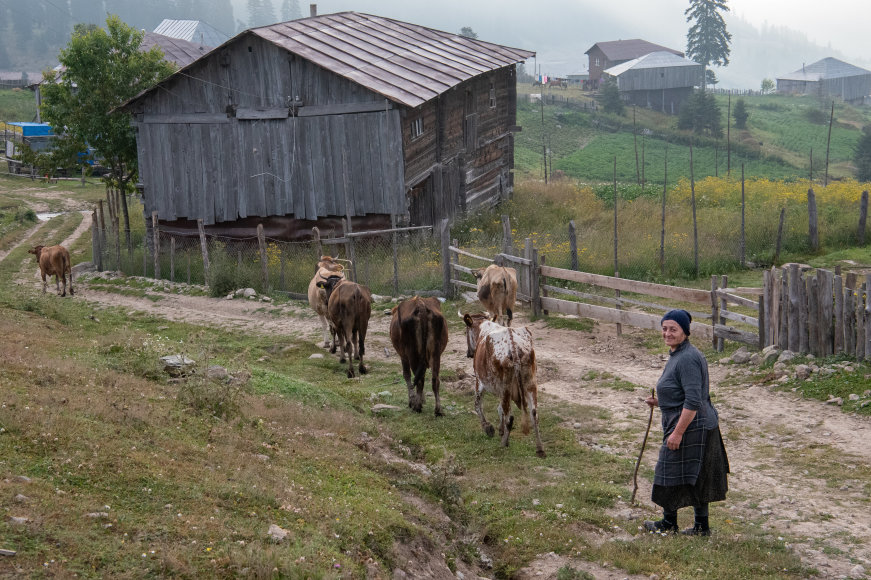 Gabrielės Navickaitės / 15min nuotr./Adžarijos kalnų kaimai ir jų gyventojai, Sakartvelas 2022 m. liepos 29 d. 