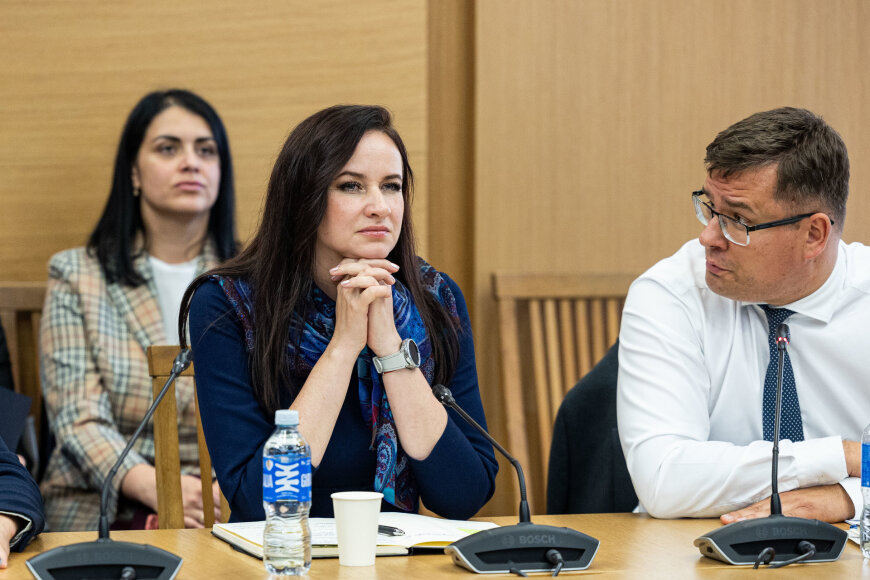 Pauliaus Peleckio / BNS nuotr./Kandidatė į Ministrės pirmininkės postą Inga Ruginienė susitiko su TS-LKD frakcija