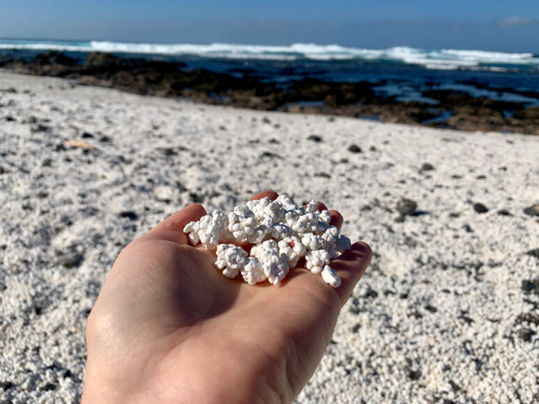 Shutterstock nuotr. / „Kukurūzų spragėsių“ paplūdimys (angl. „Popcorn Beach“), Fuerteventūra