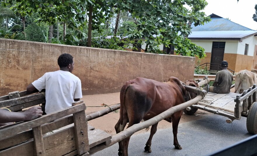 Oksanos Šukaitienės archyvo nuotr. / Zanzibaras