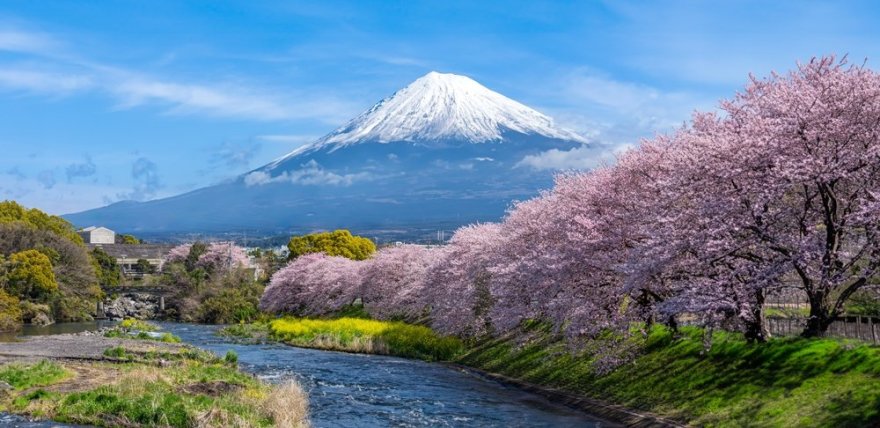 Shutterstock nuotr. / Fudžio kalnas, Japonija