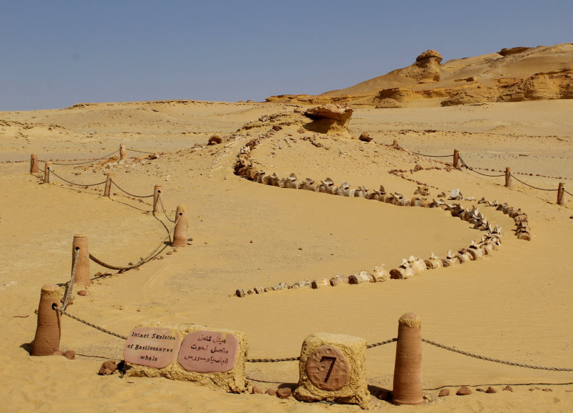 Shutterstock nuotr. / Banginių slėnis, Egiptas