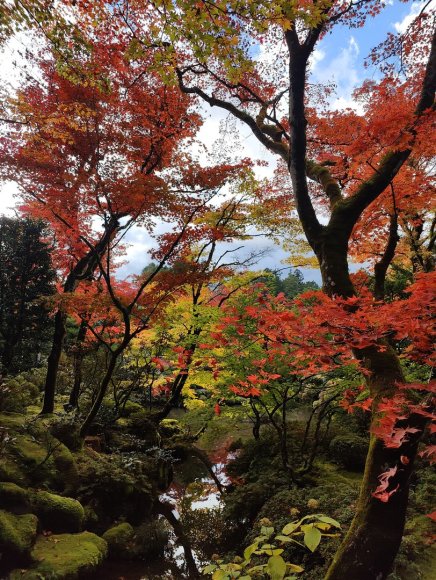 Asmeninio archyvo nuotr. / Žilvino Žebrausko įspūdžiai iš Japonijos