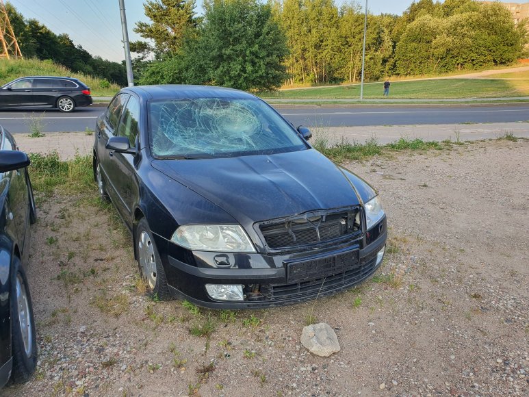 Tomo Seikalio nuotr./Apleisti automobiliai Fabijoniškėse