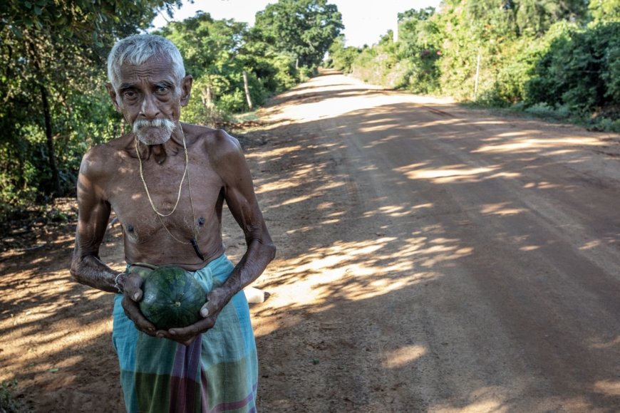 Vidmanto Balkūno nuotr. /Šri Lankos žemdirbys Kaluarchichi laiko savo užaugintą arbūzą