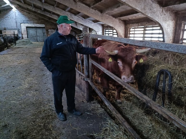 Karolinos Stažytės nuotr./Vito Kučiausko mėsinių galvijų ūkis