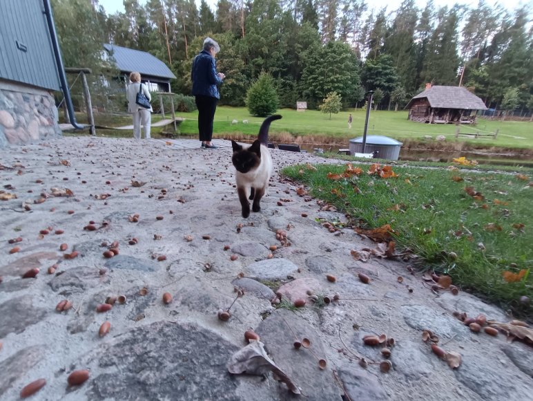 Karolinos Stažytės nuotr./Leliugų kaimo turizmo sodyba „Po ąžuolais“